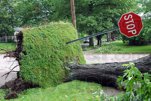 Barreras Pasivas: Como hacer que tus triunfos sean INEVITABLES